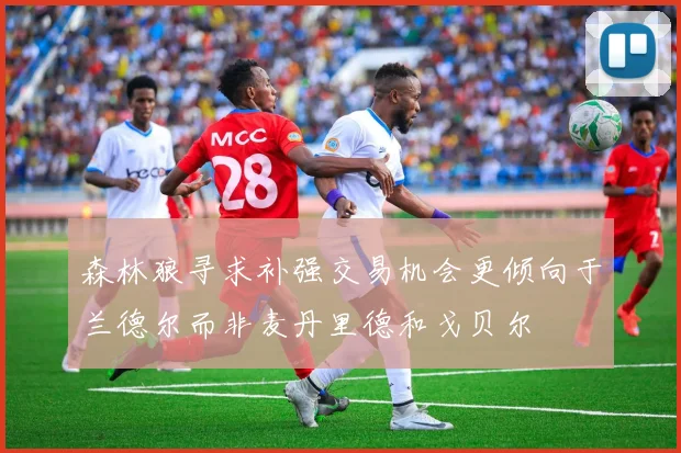 森林狼寻求补强交易机会更倾向于兰德尔而非麦丹里德和戈贝尔